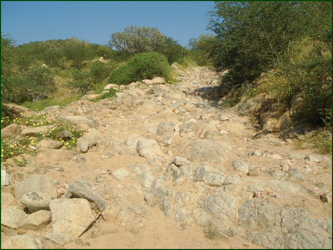 you want me to go up that?