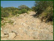 you want me to go up that?