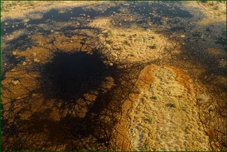 okavango