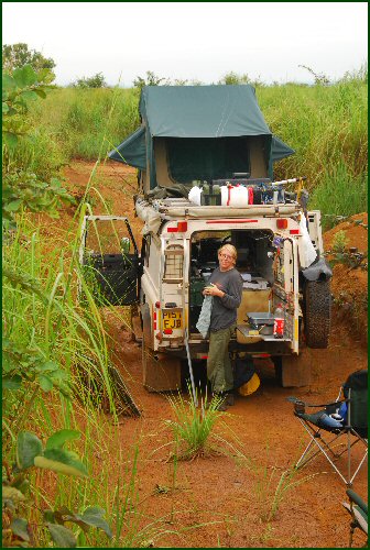 Hidding in the grass