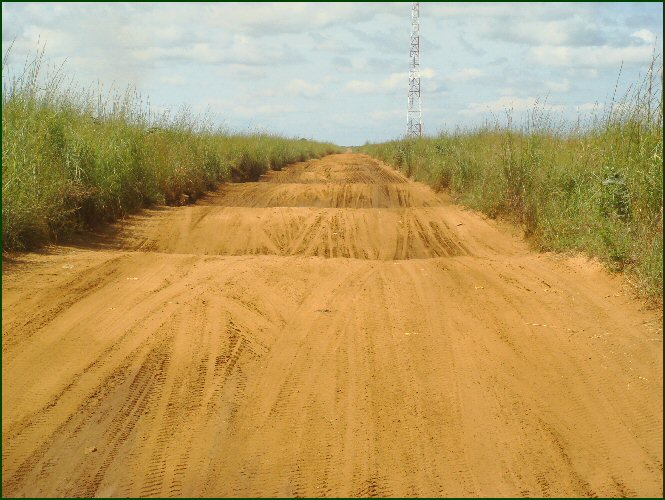 DRC road...