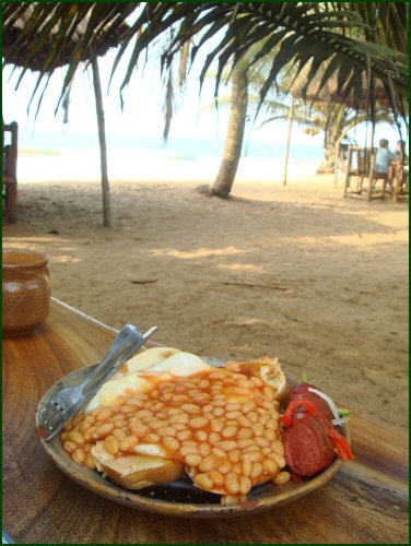 Gree Turtle Breakfast