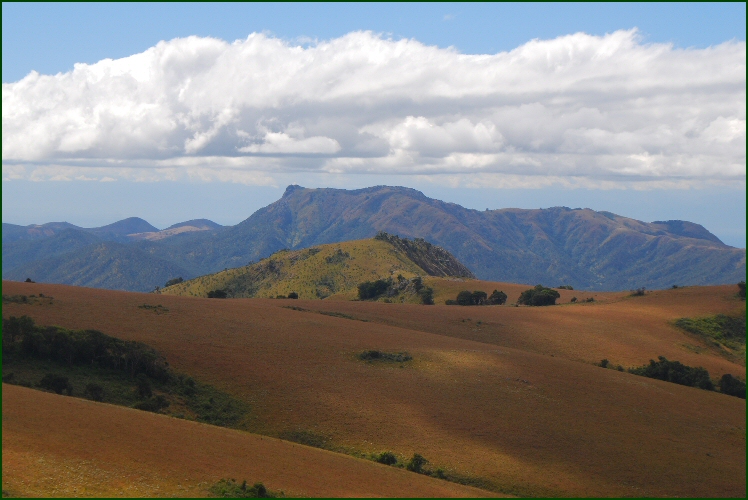 Nyika view
