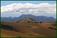 Nyika view
