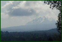 kilimanjaro