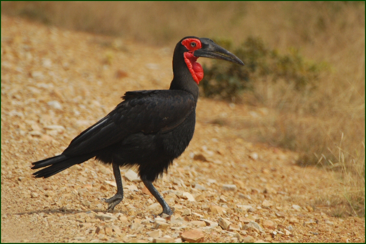 Namibian picnic spot