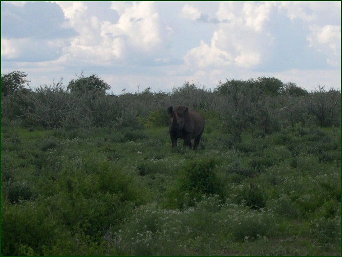 Giving us an evil stare...