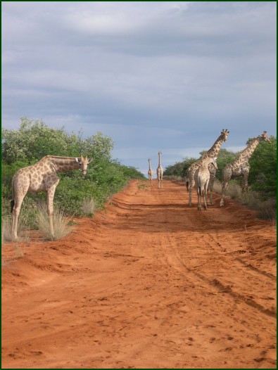 Mobile road block, Walterberg