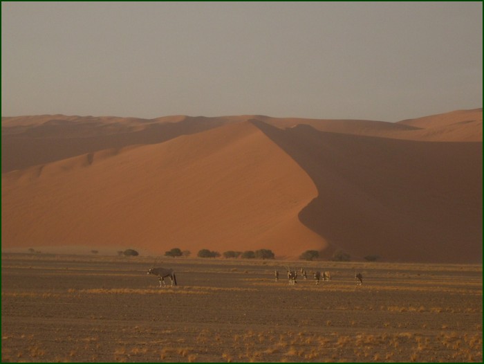 Sunset in Sossusvlei
